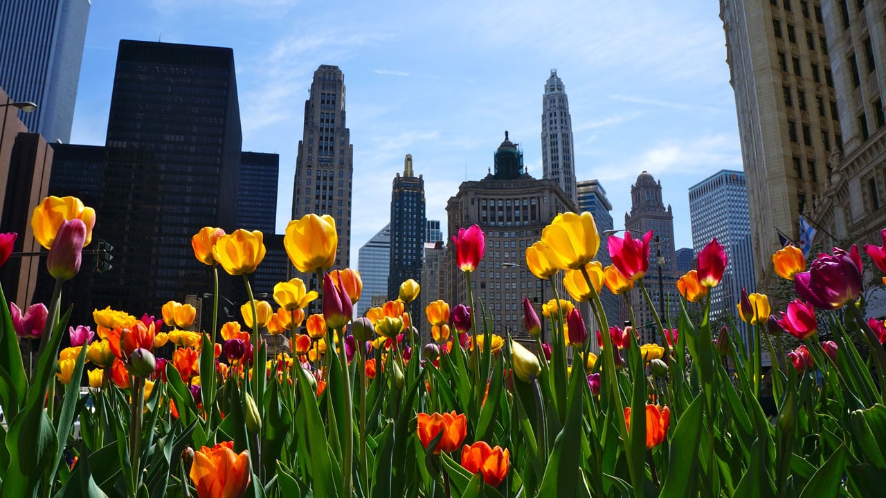 19 Exciting Spring Events You Must Experience