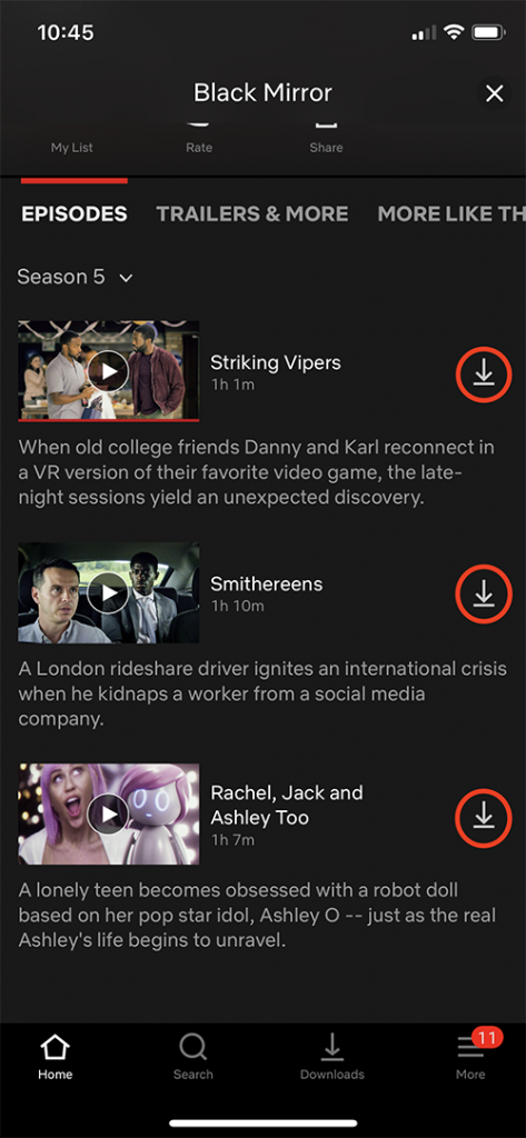 Screenshot showing how to download movies and shows from Netflix to your device.