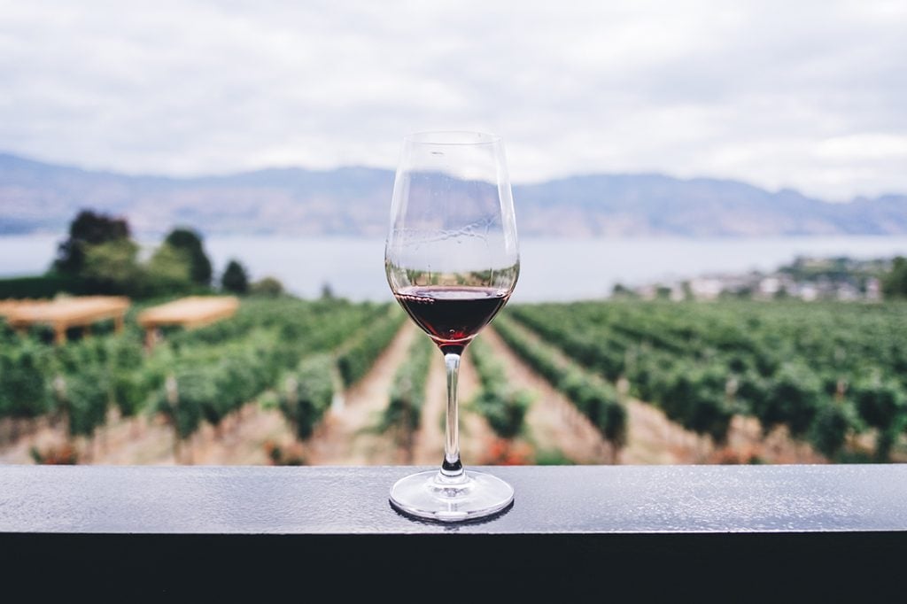 Photo of a wine glass perched on a rail overlooking a vineyard.