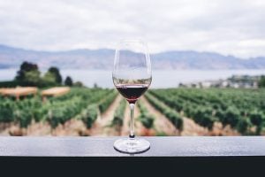 The Perfect DIY West Coast & East Coast Wine Tours Are Under $300 Each