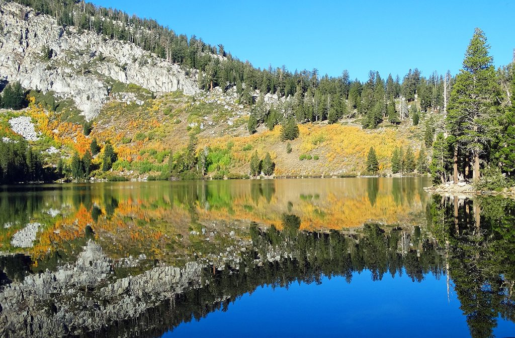 Photo taken in the Sierra Nevada mountains in fall.