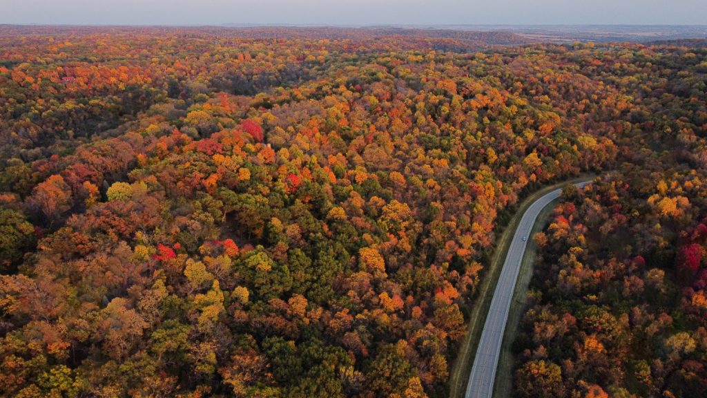 An aerial view of Galena's forests in the fall