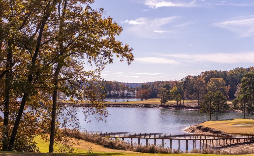 A view of Lake Lanier from the shore