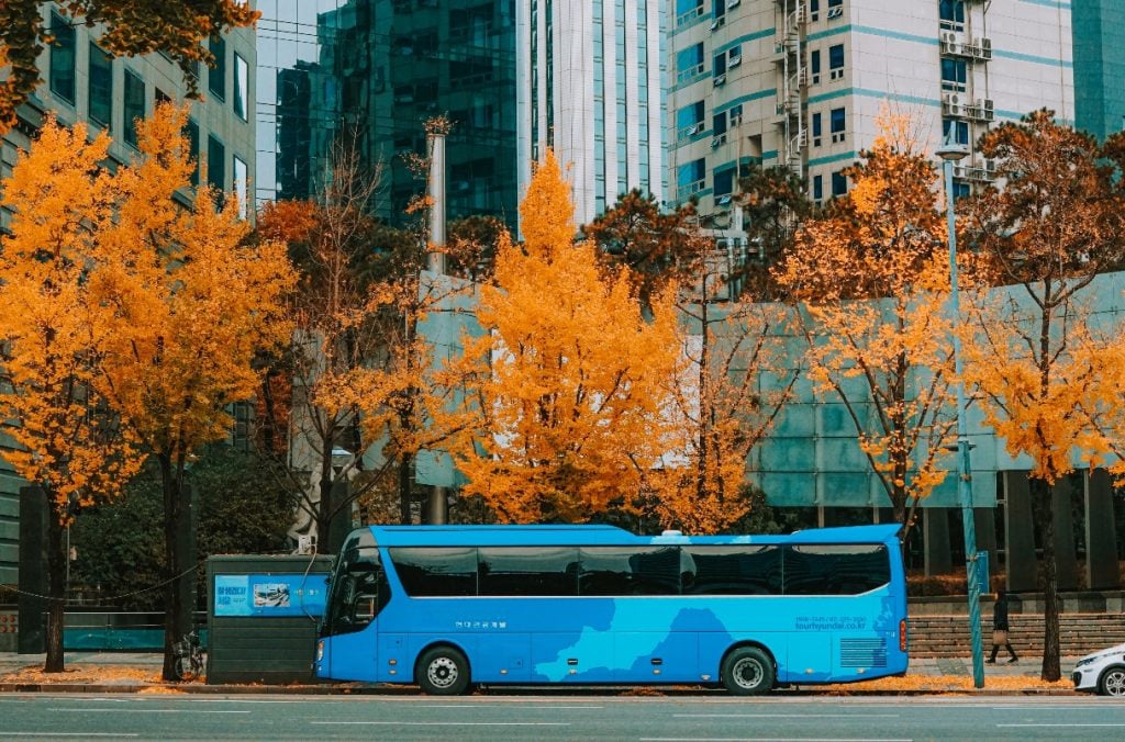 A blue bus is parked on the street lined with orange trees