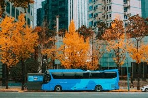 A blue bus is parked on the street lined with orange trees