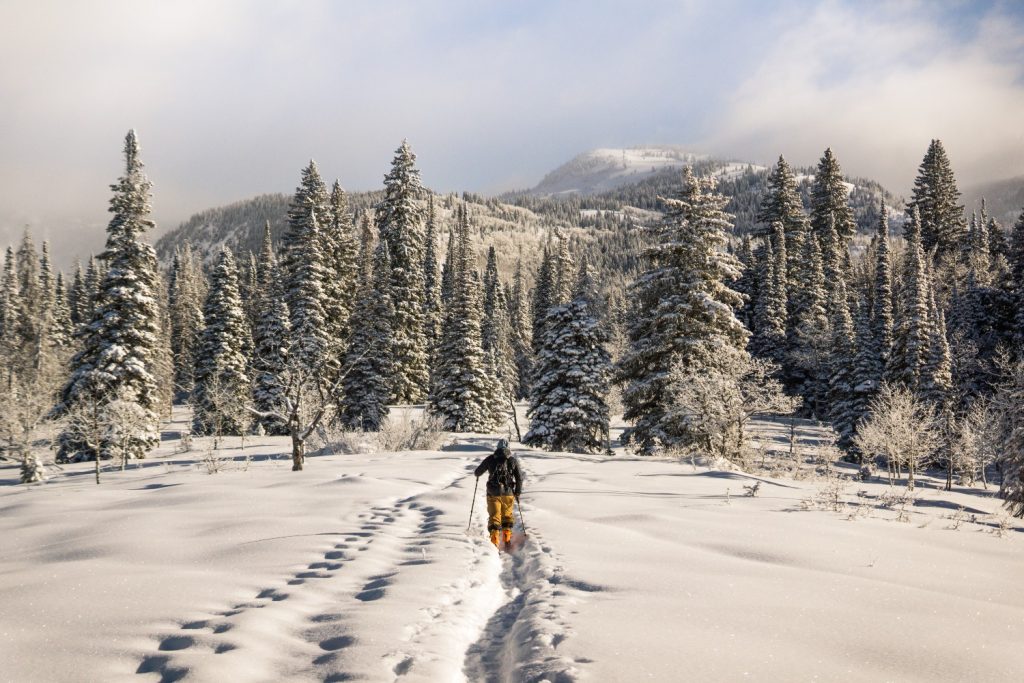 A snowshoer leaves footprints in the snow on their way towards a mountain in Steamboat Springs