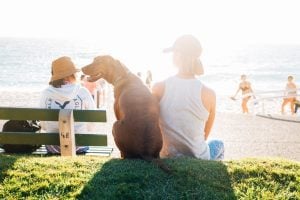 The Best Cities in the U.S. to Visit with Your Dog