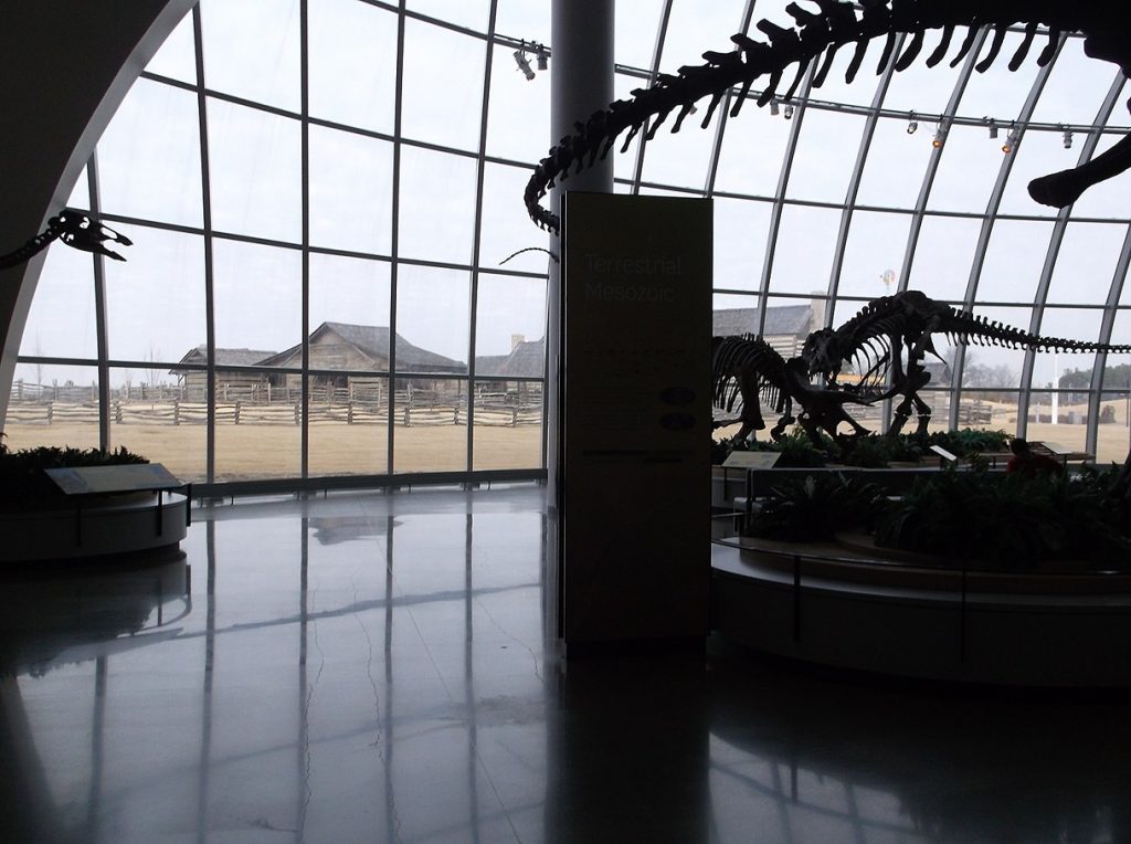 An interior view of the dinosaur skeletons on display at Discovery Park of America in Union City