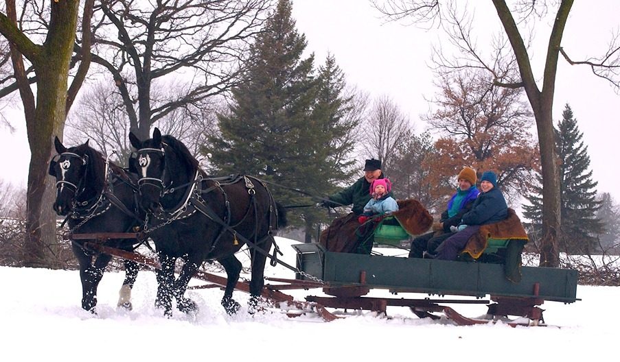 Horse-drawn carriage in the snow with smiling family in Saint Paul