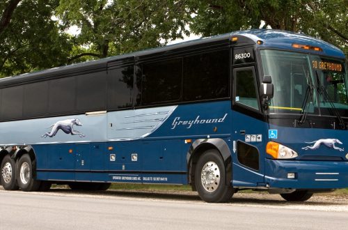 greyhound-bus